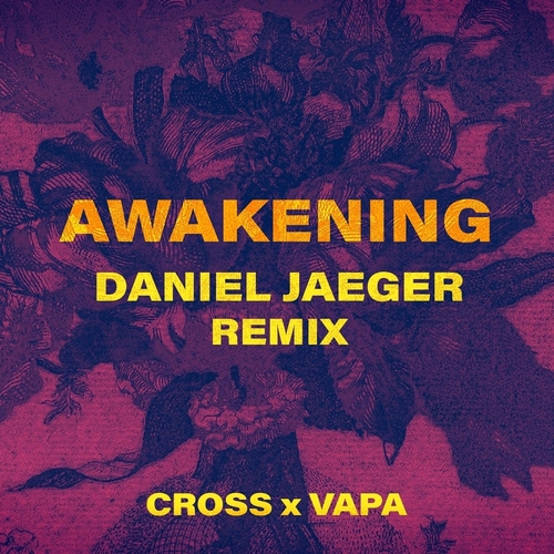 Cross, Daniel Jaeger, VAPA - Awakening (Daniel Jaeger Remix) [VAPA031]